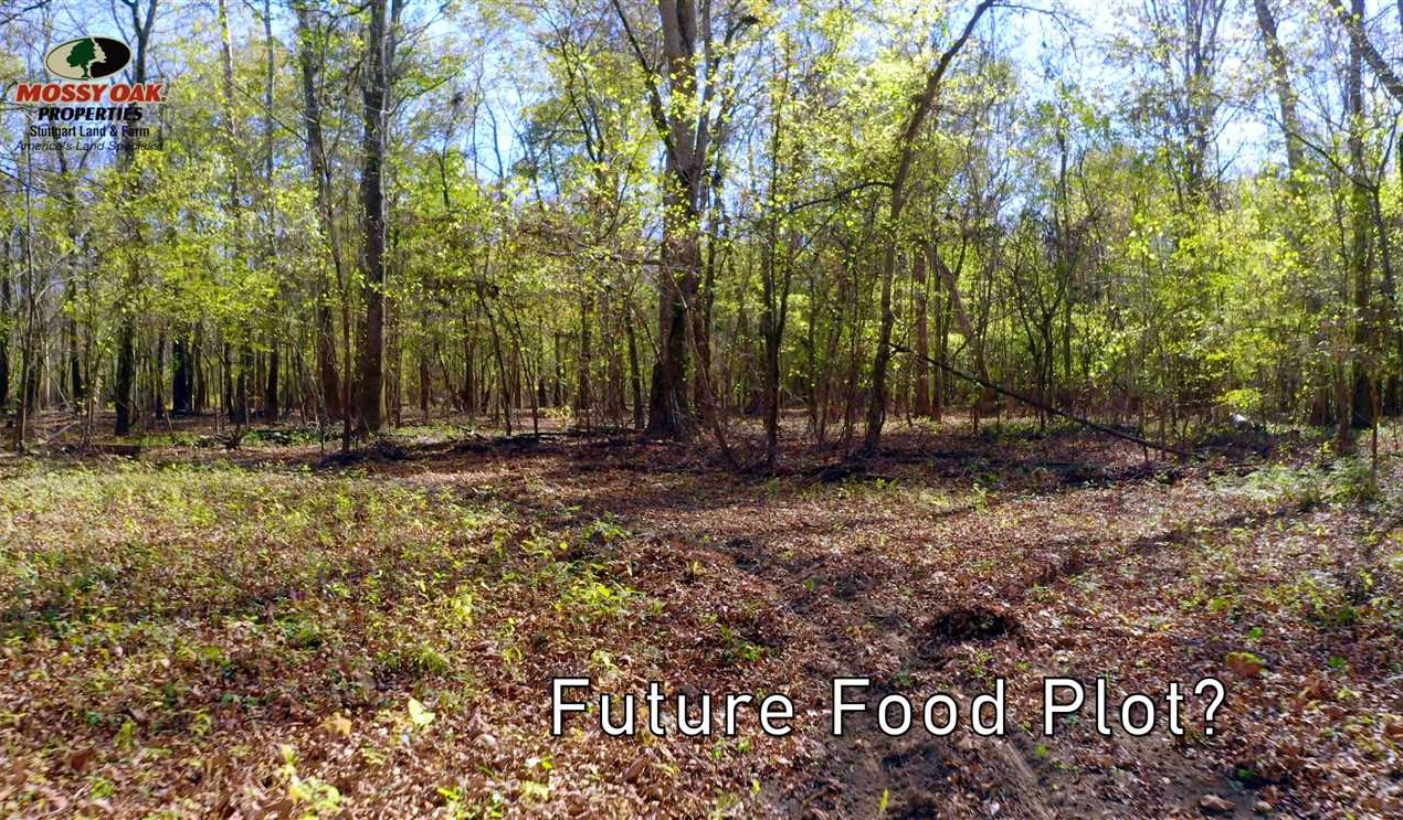 13 Acres of Land for sale in prairie County, Arkansas