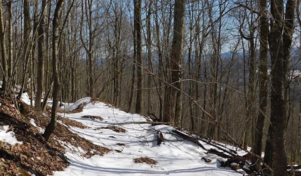 Houses and land for sale in Virginia