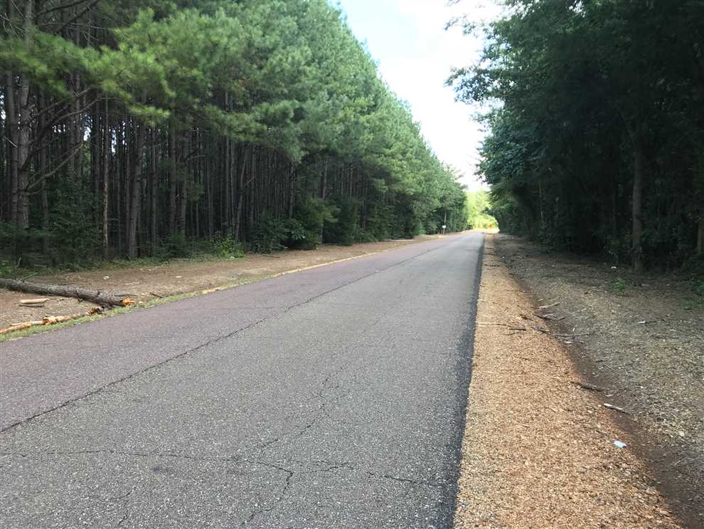 455 Acres of Land for sale in lowndes County, Mississippi