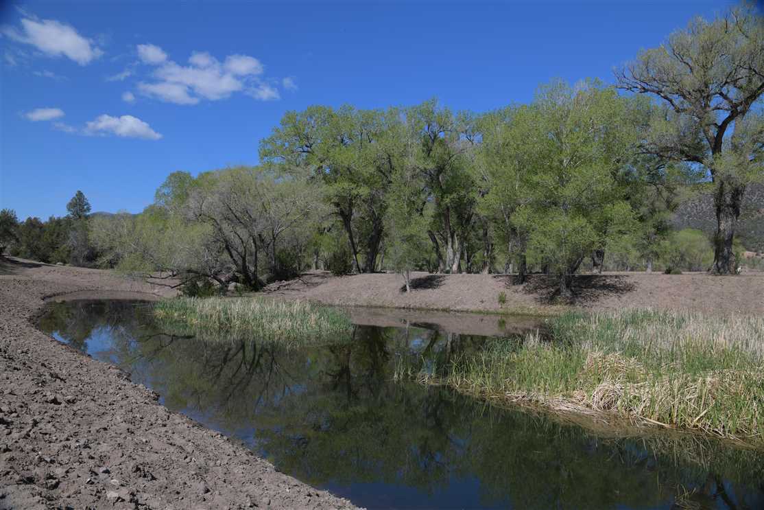 catron County, New Mexico property for sale