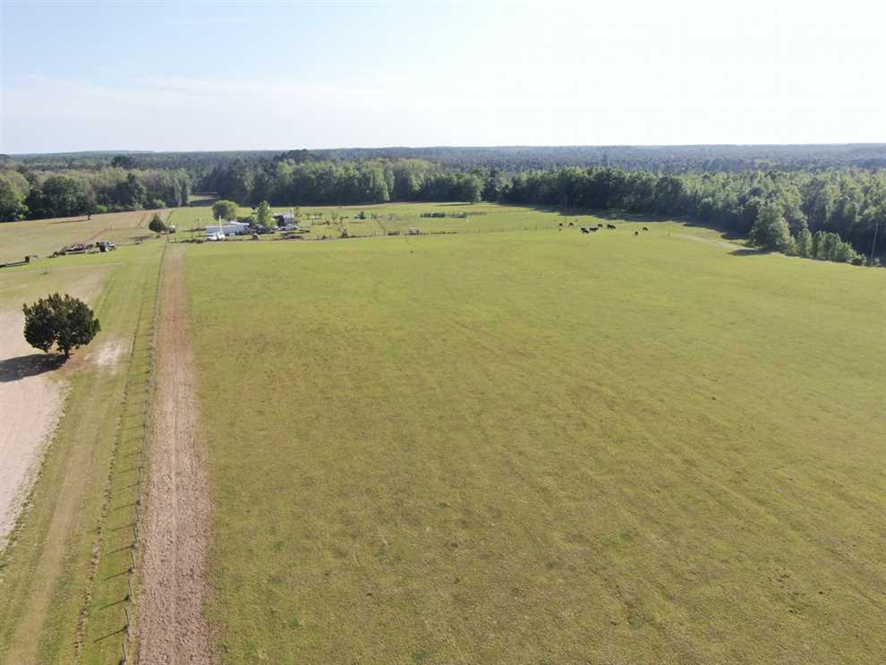77.38 Acres of Land for sale in madison County, Florida