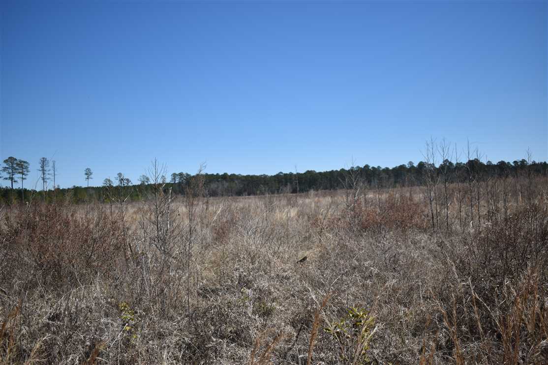bradley County, Arkansas property for sale
