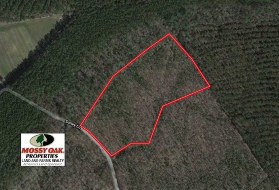 12.59 Acres of Land for Sale in gates County North Carolina