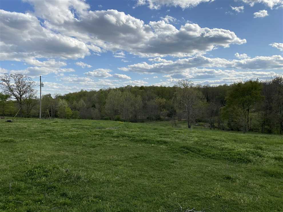 128 Acres For Sale In Ripley County, Gatewood, Missouri Real estate listing