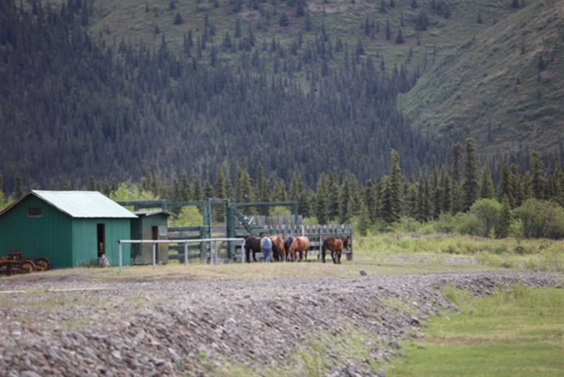 34.5 Acres of Land for sale in fairbanks north star County, Alaska