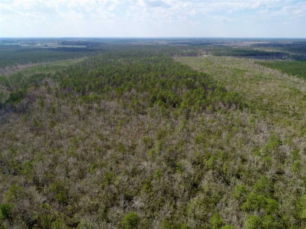 property for sale on The Land Market