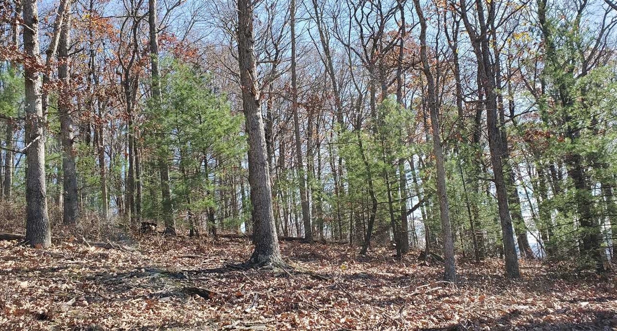 Land for sale at 0000 Wade Bare Road