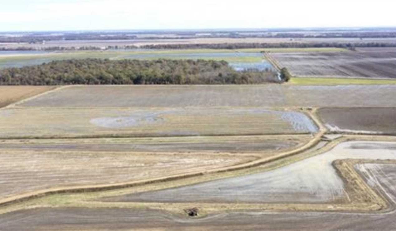 681 Acres of Recreational land for sale in Waldenburg, poinsett County, Arkansas