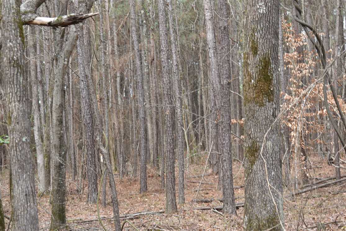 Houses and land for sale in Arkansas