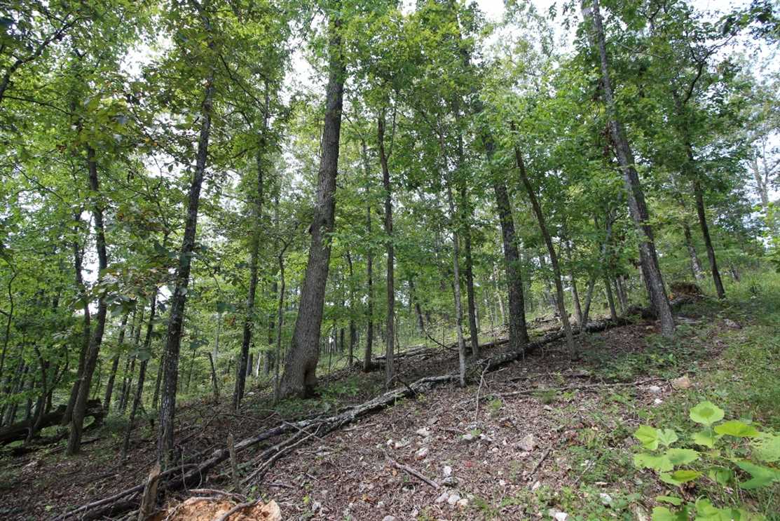 property for sale on The Land Market