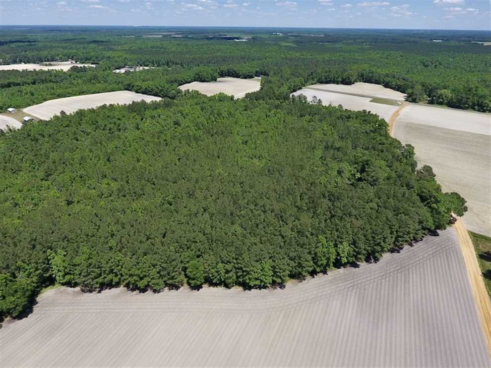 Recreational and   property for sale on The Land Market