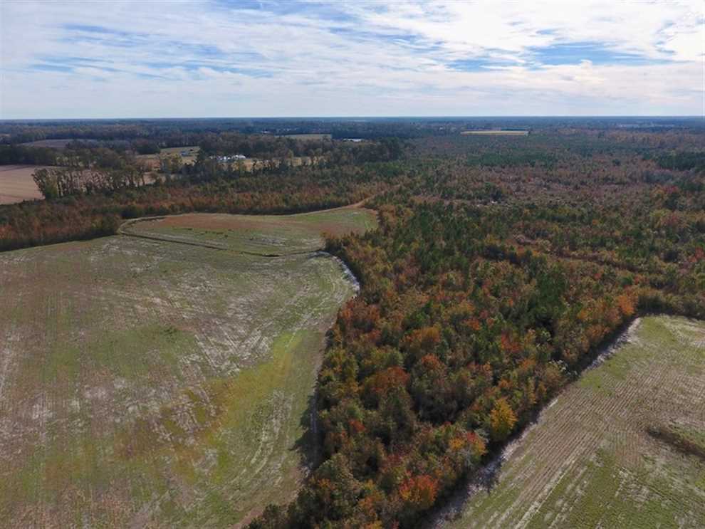 Land for sale at Off Highway 55 NC