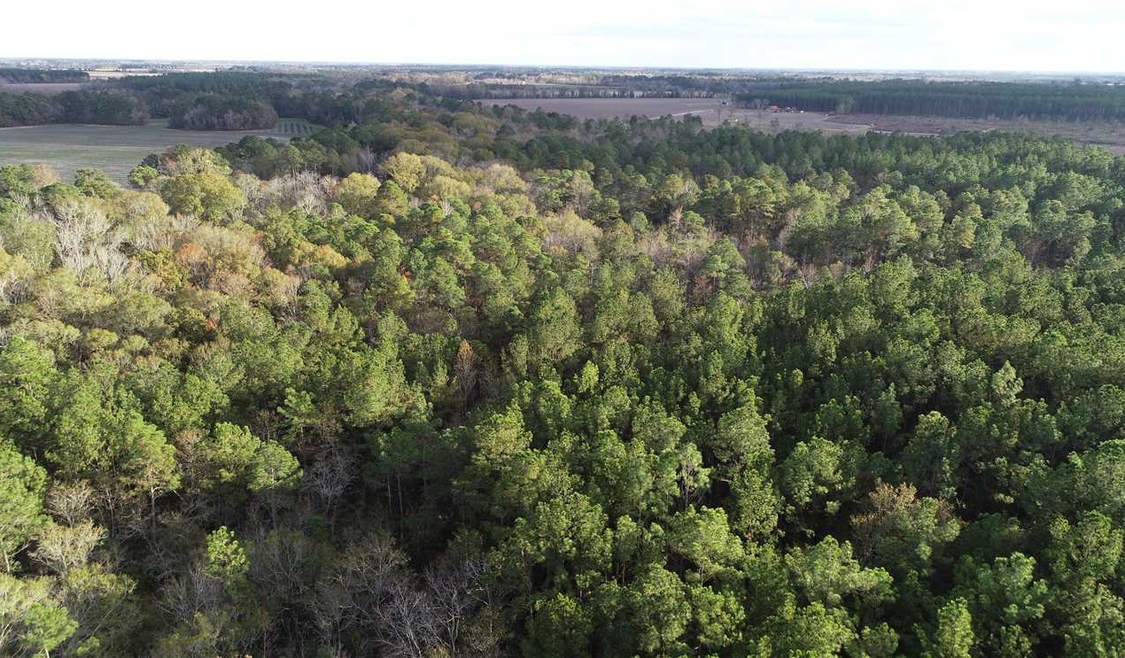 35 Acres of Residential land for sale in Surrency, appling County, Georgia