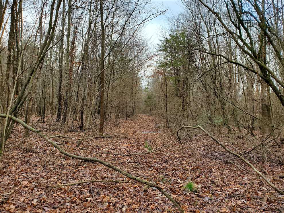 73 Acres of Land for Sale in yadkin County, North Carolina