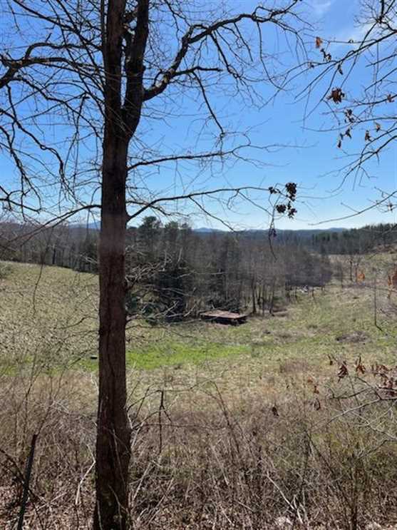 388 Acres of Farmland land for sale in Murphy, cherokee County, North Carolina