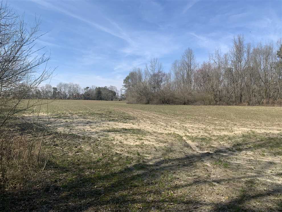 56.94 Acres of Residential land for sale in Morven, anson County, North Carolina