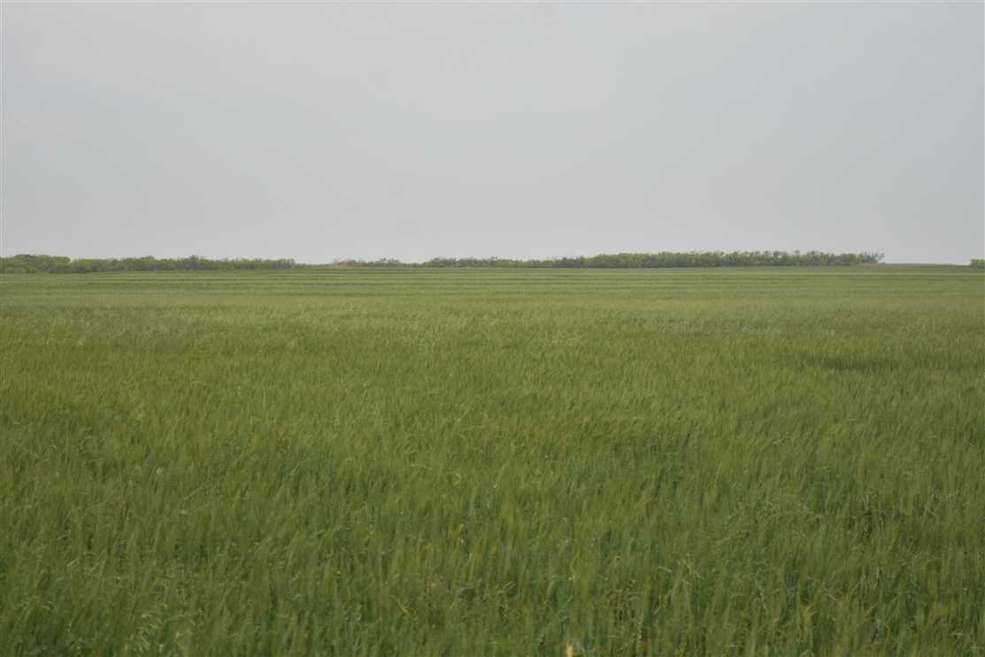 269.17 Acres of Recreational land for sale in Wichita Falls, wichita County, Texas