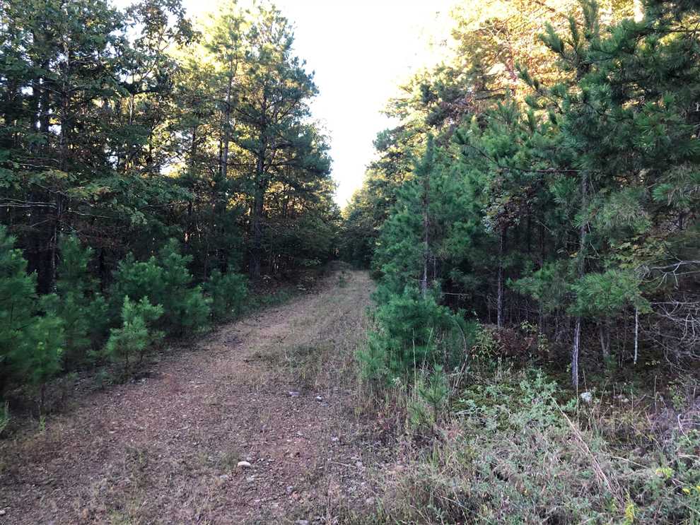 Land for sale at