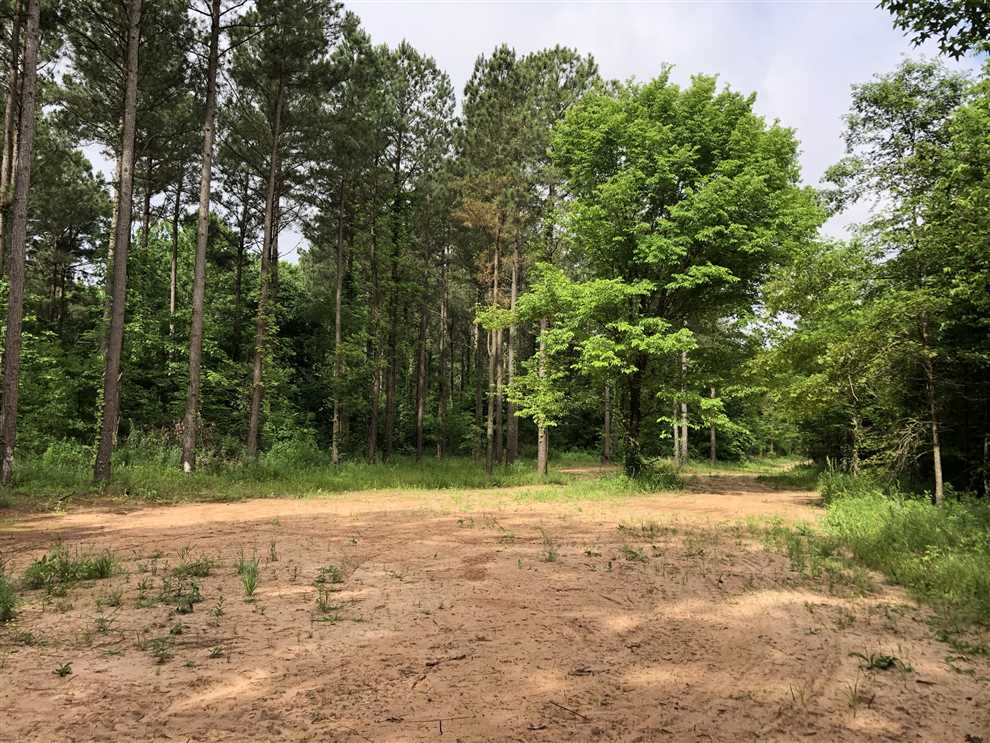 39.5+/- Acres on Walter Estes Rd in Pulaski County, Arkansas. Real estate listing