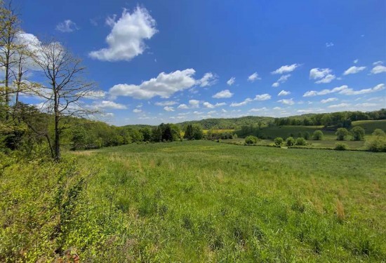 38 Acres of Land for Sale in gallia County Ohio