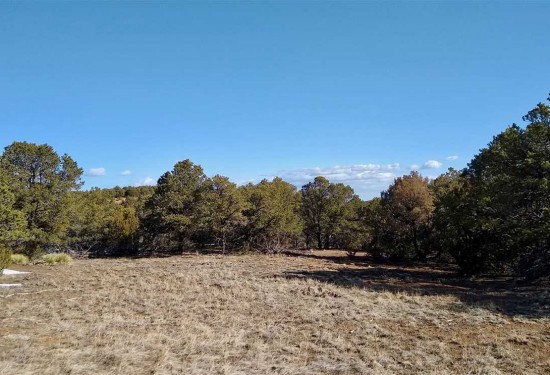 35 Acres of Land for Sale in las animas County Colorado