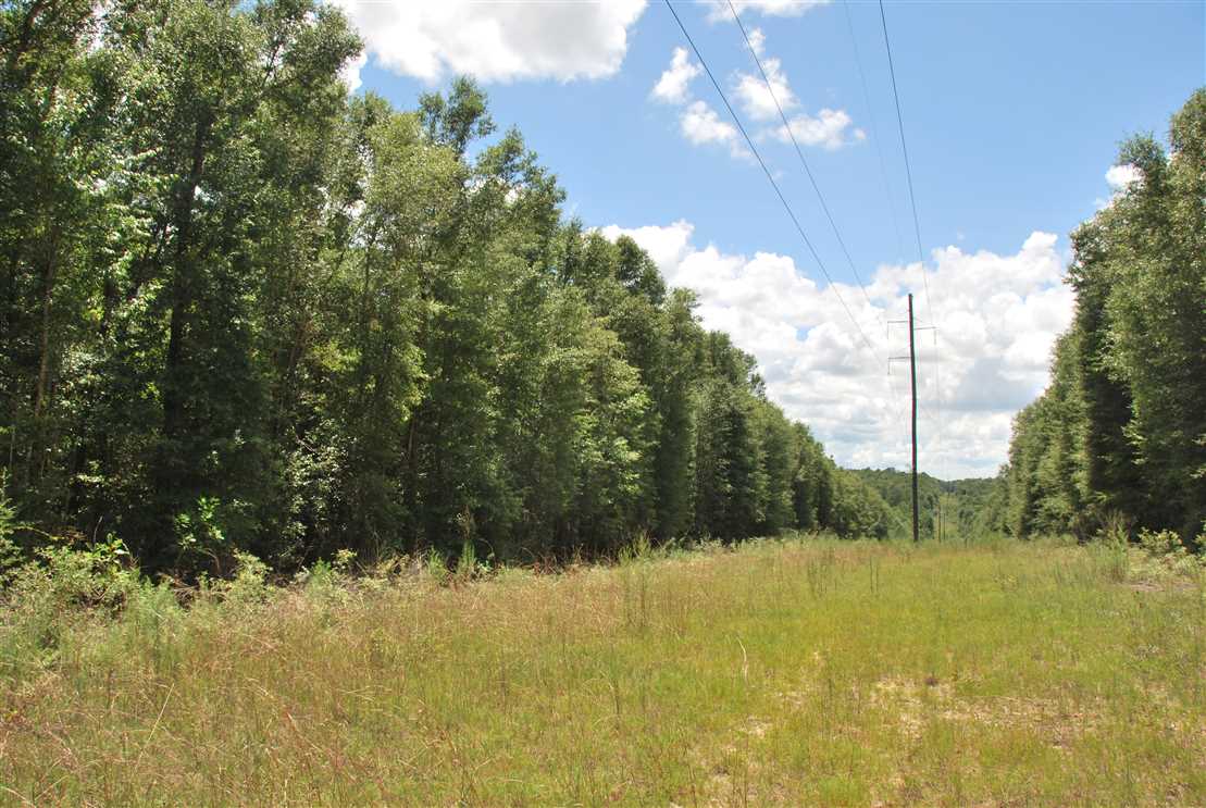 Land for sale at Hwy 84 County Road 109