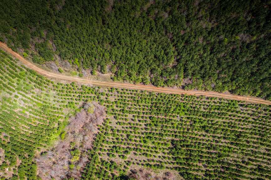 590 Acres of Residential land for sale in Shreveport, caddo County, Louisiana