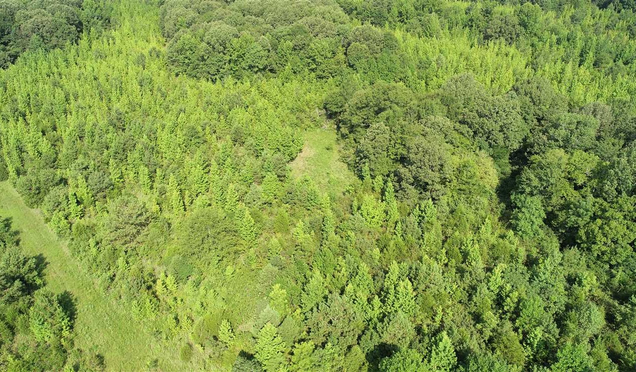 62 Acres of Recreational land for sale in Saltillo, lee County, Mississippi