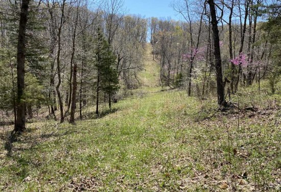 60 Acres of Land for Sale in morgan County Missouri