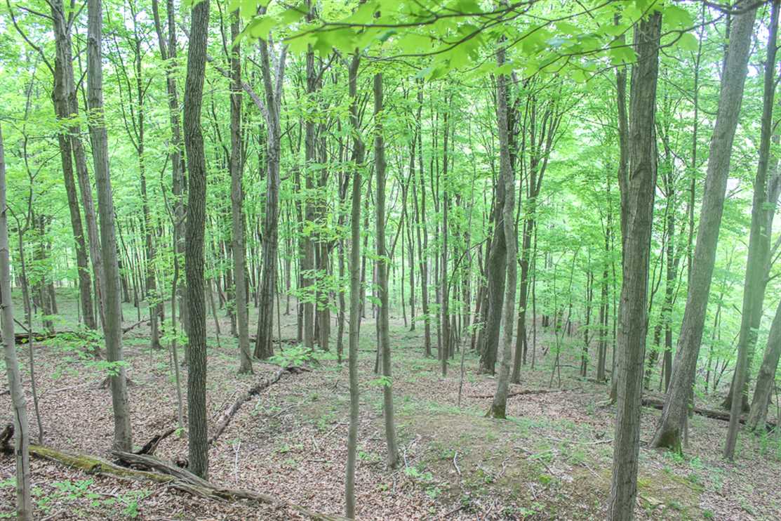 Land for sale at 0 TR 402 BARR HOLLOW RD