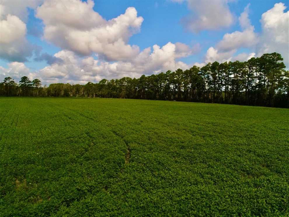 Recreational and   property for sale on The Land Market