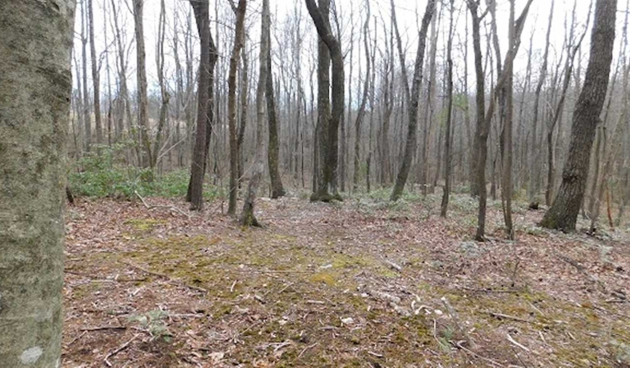 Houses and land for sale in Virginia