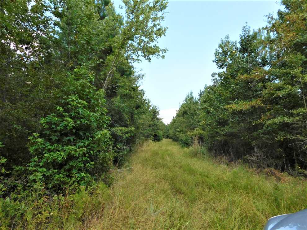 Farmland real estate available to buy