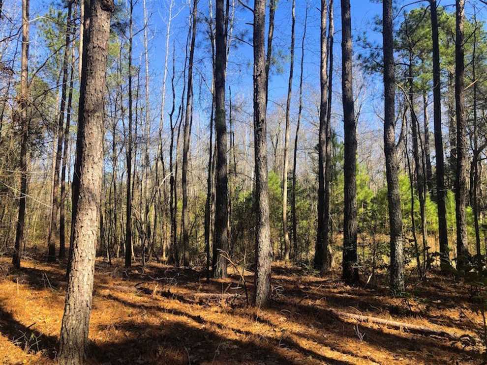 lee County, North Carolina property for sale