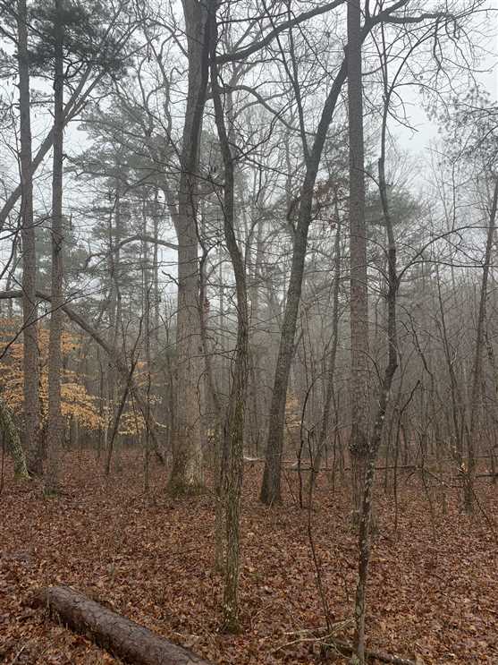 24 Acres of Residential land for sale in Denton, davidson County, North Carolina