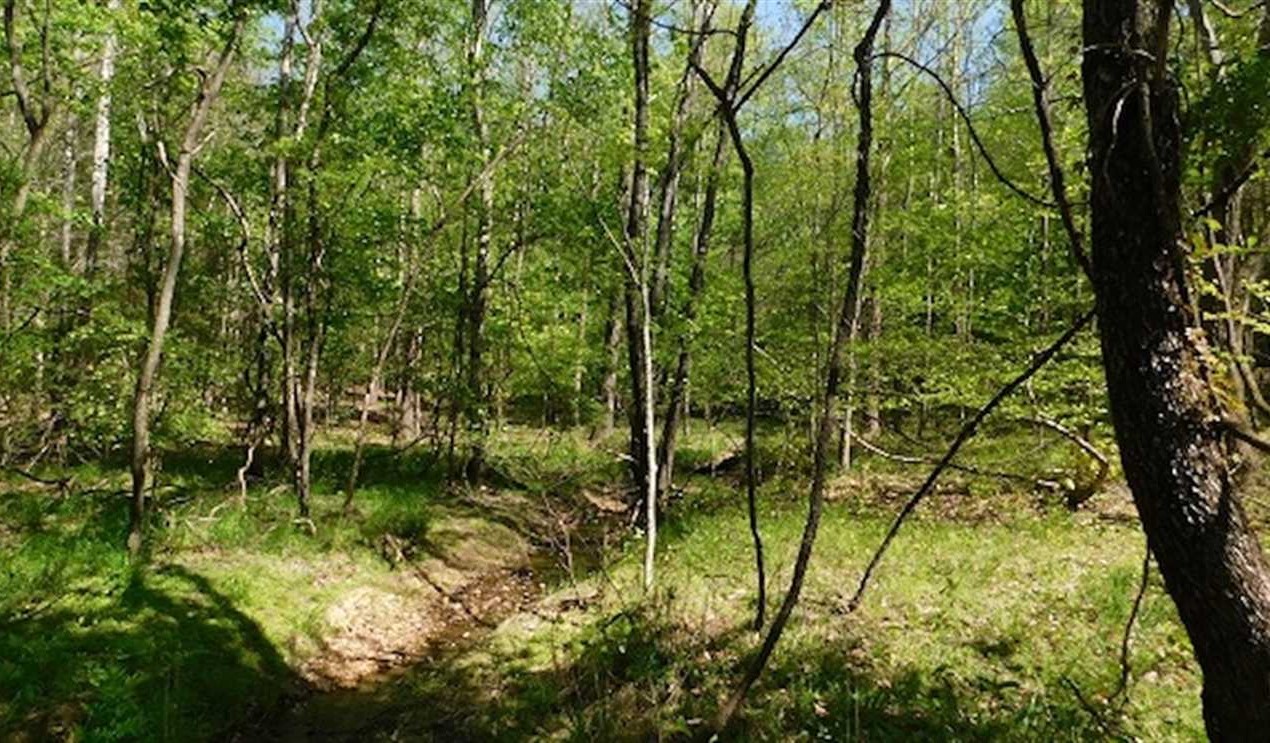 property for sale on The Land Market