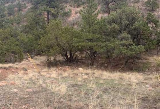 35.26 Acres of Land for Sale in fremont County Colorado