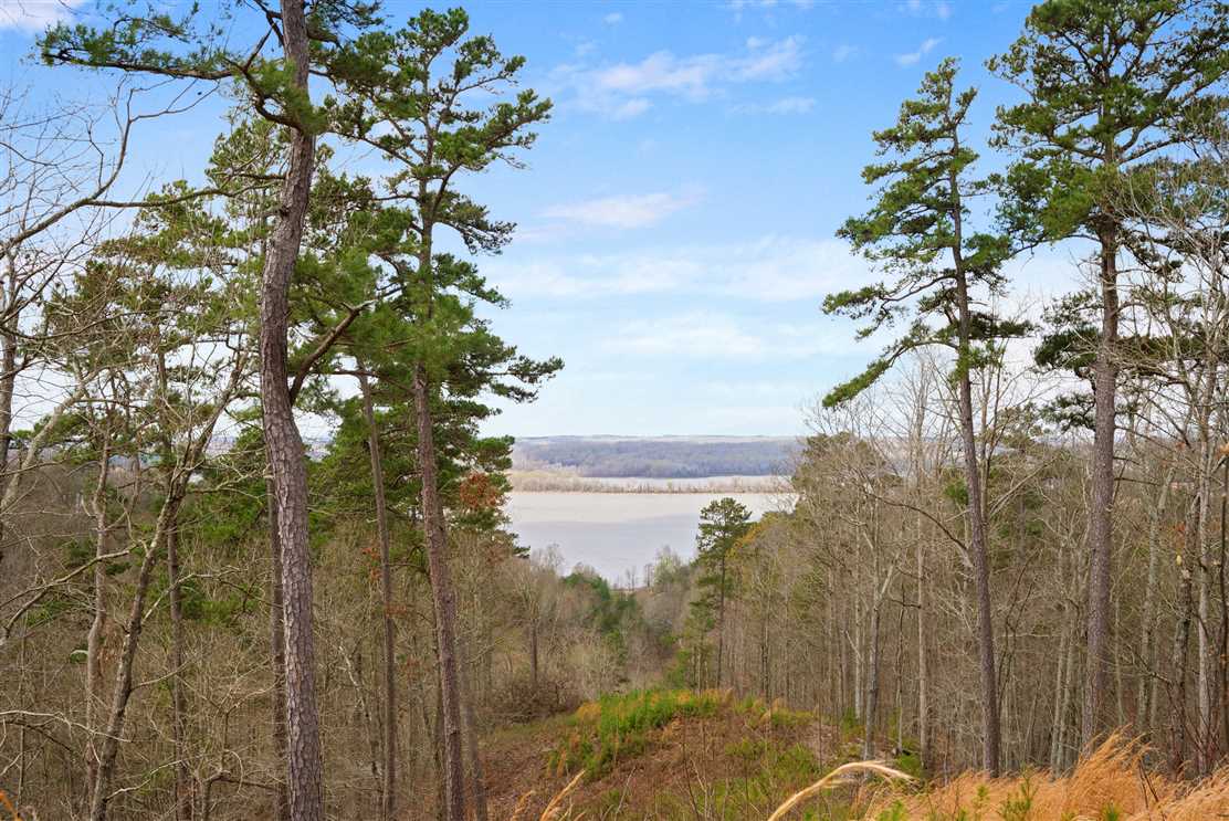 5 Acres of Land for sale in humphreys County, Tennessee