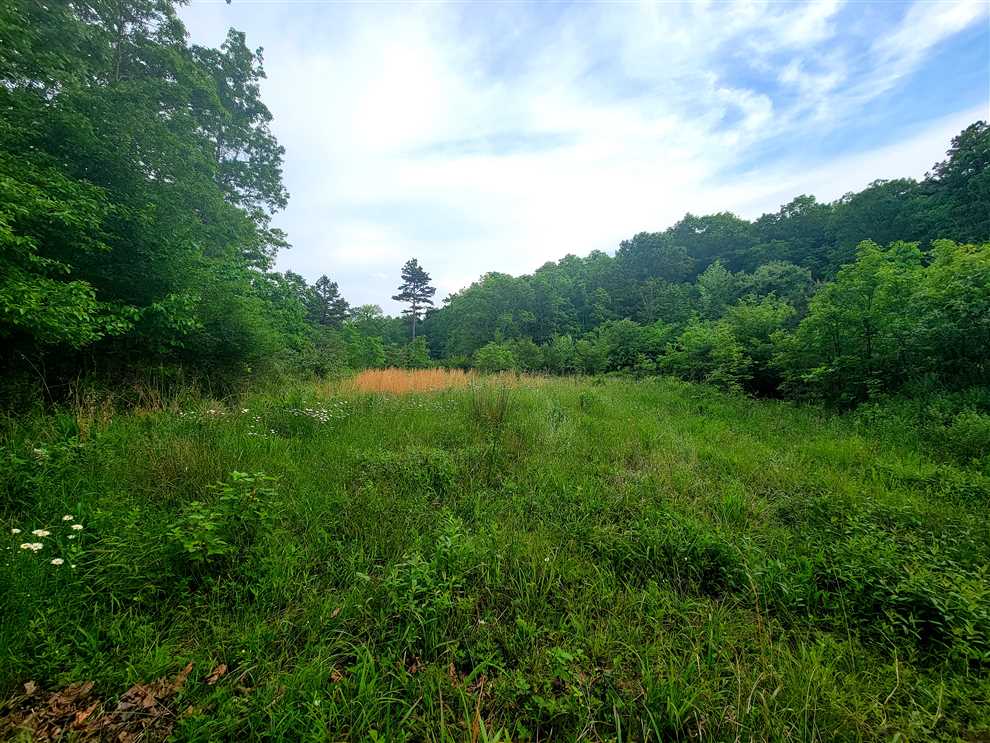 149 Acres of Residential land for sale in Poplar Bluff, butler County, Missouri