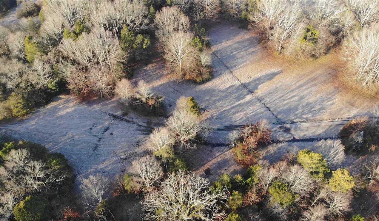 Beautiful 131 acres in Clay County Real estate listing