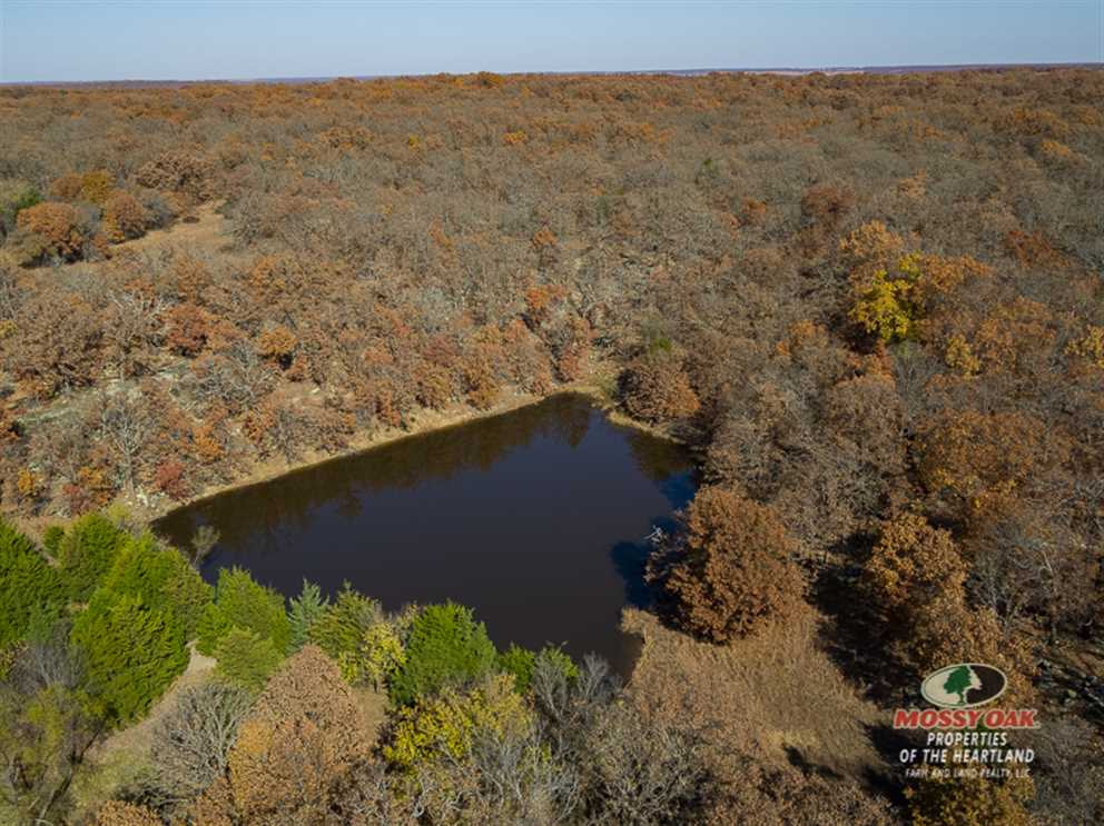Ace In The Hole Real estate listing