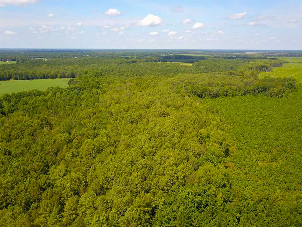 bertie County, North Carolina property for sale