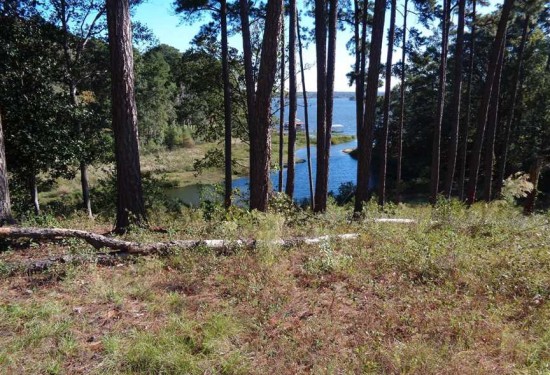 0.51 Acres of Land for Sale in barbour County Alabama