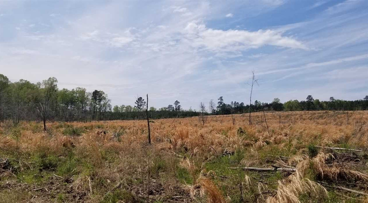 39.02 Acres of Land for Sale in sabine County Louisiana