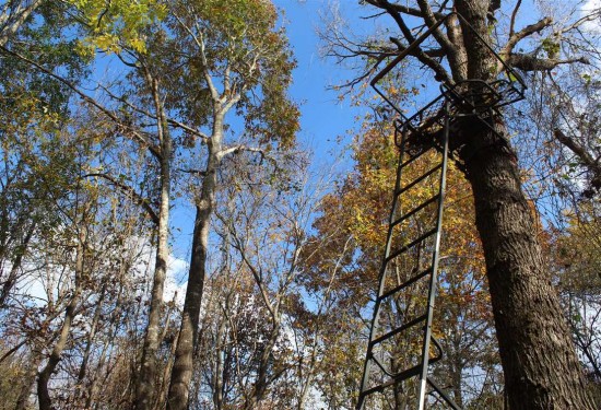 95 Acres of Land for Sale in pushmataha County Oklahoma
