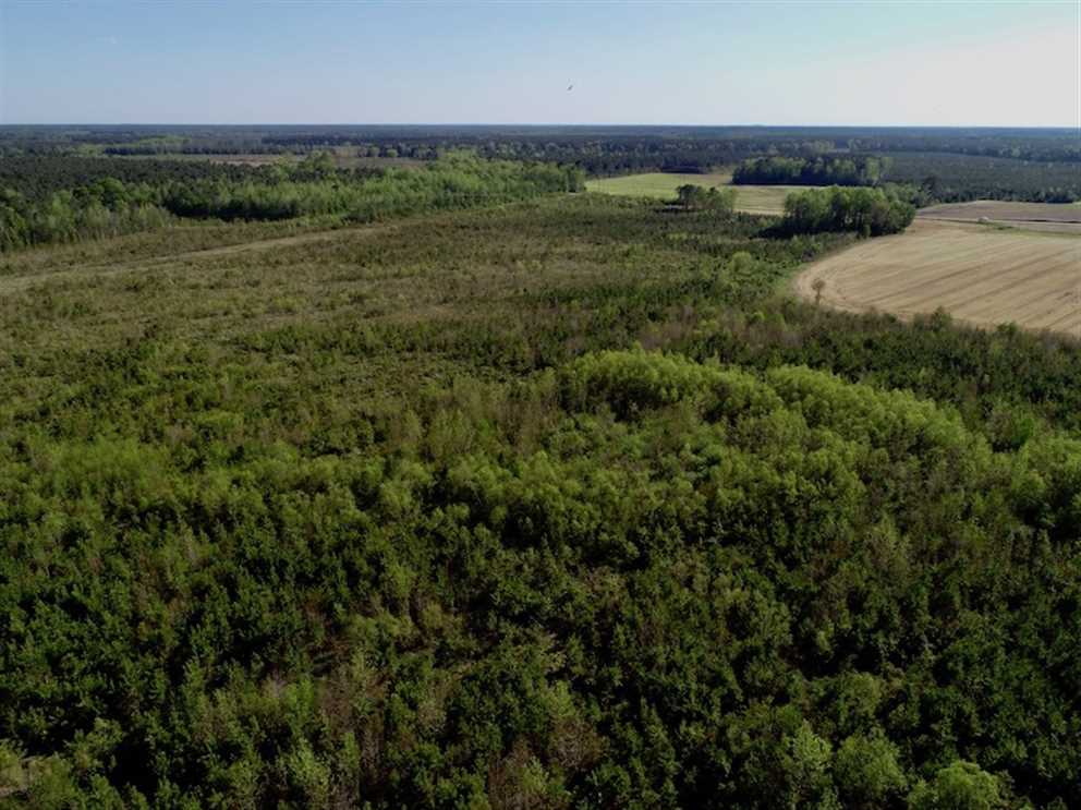218 Acres of Recreational land for sale in Gates, gates County, North Carolina