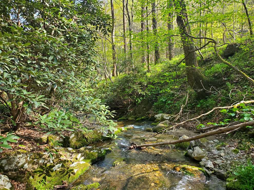 12.26 Acres of Land for sale in caldwell County, North Carolina