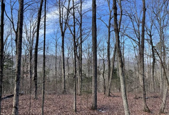 47 Acres of Land for Sale in lawrence County Alabama