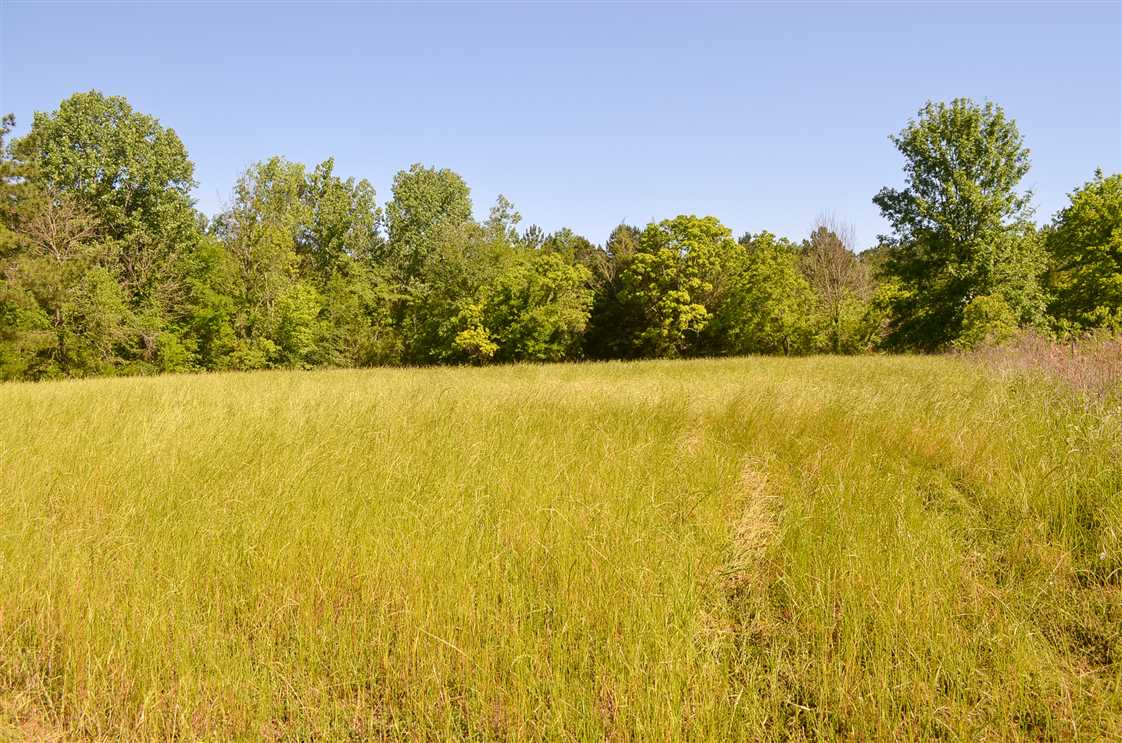 7 Acres of Land for sale in montgomery County, Alabama