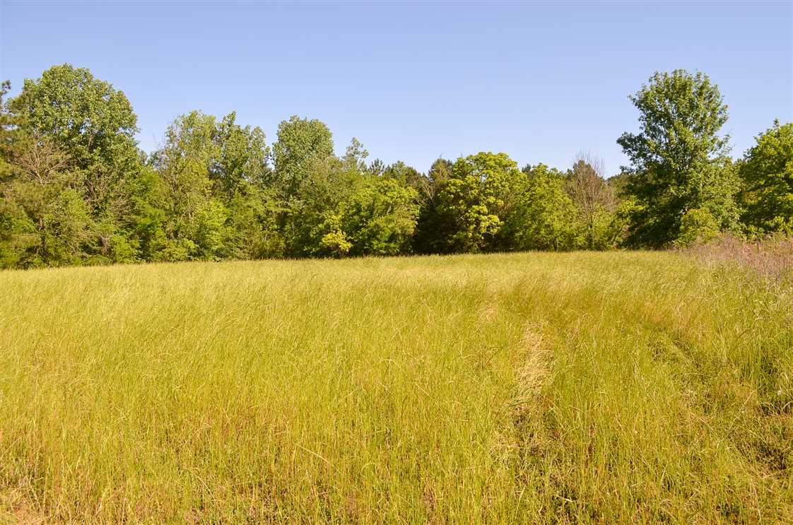 7 Acres of Land for sale in montgomery County, Alabama